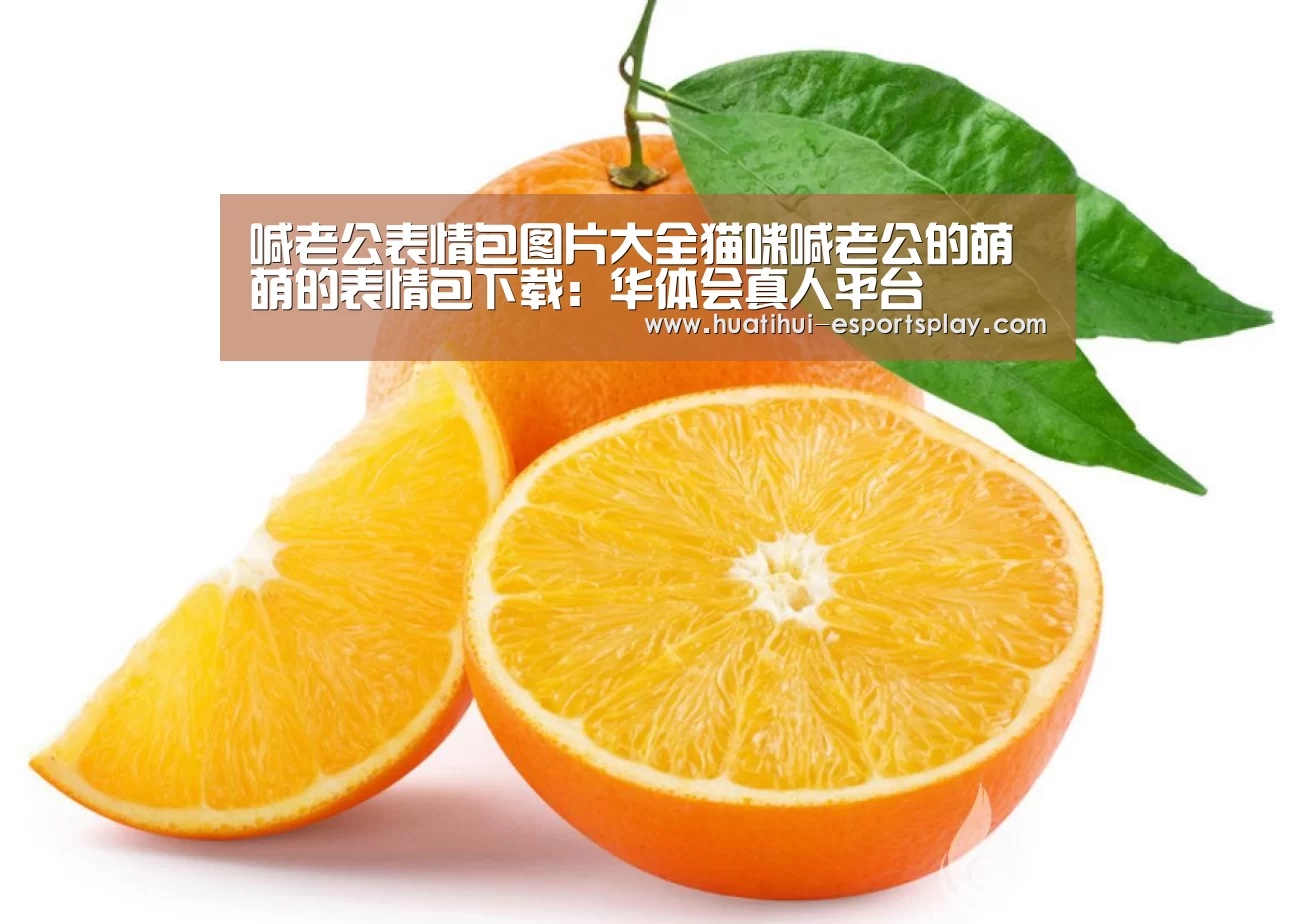 喊老公表情包图片大全猫咪喊老公的萌萌的表情包下载:华体会真人平台(图1) 华体会体育平台
