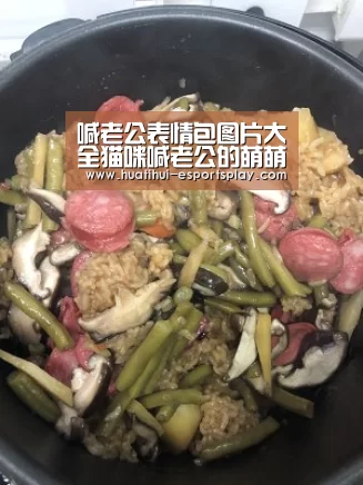 喊老公表情包图片大全猫咪喊老公的萌萌的表情包下载:华体会真人平台(图2) 华体会体育竞猜