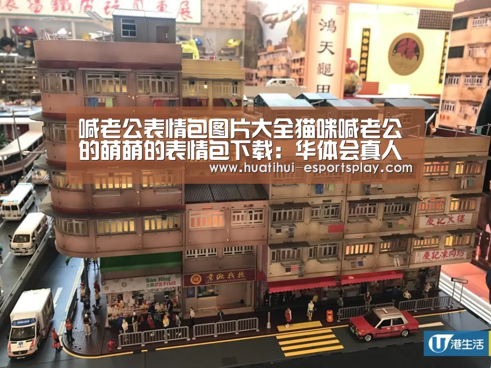 喊老公表情包图片大全猫咪喊老公的萌萌的表情包下载:华体会真人平台(图3) 华体会体育平台