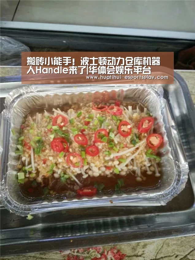 搬砖小能手!波士顿动力仓库机器人Handle来了|华体会娱乐平台(图2) 华体会体育平台