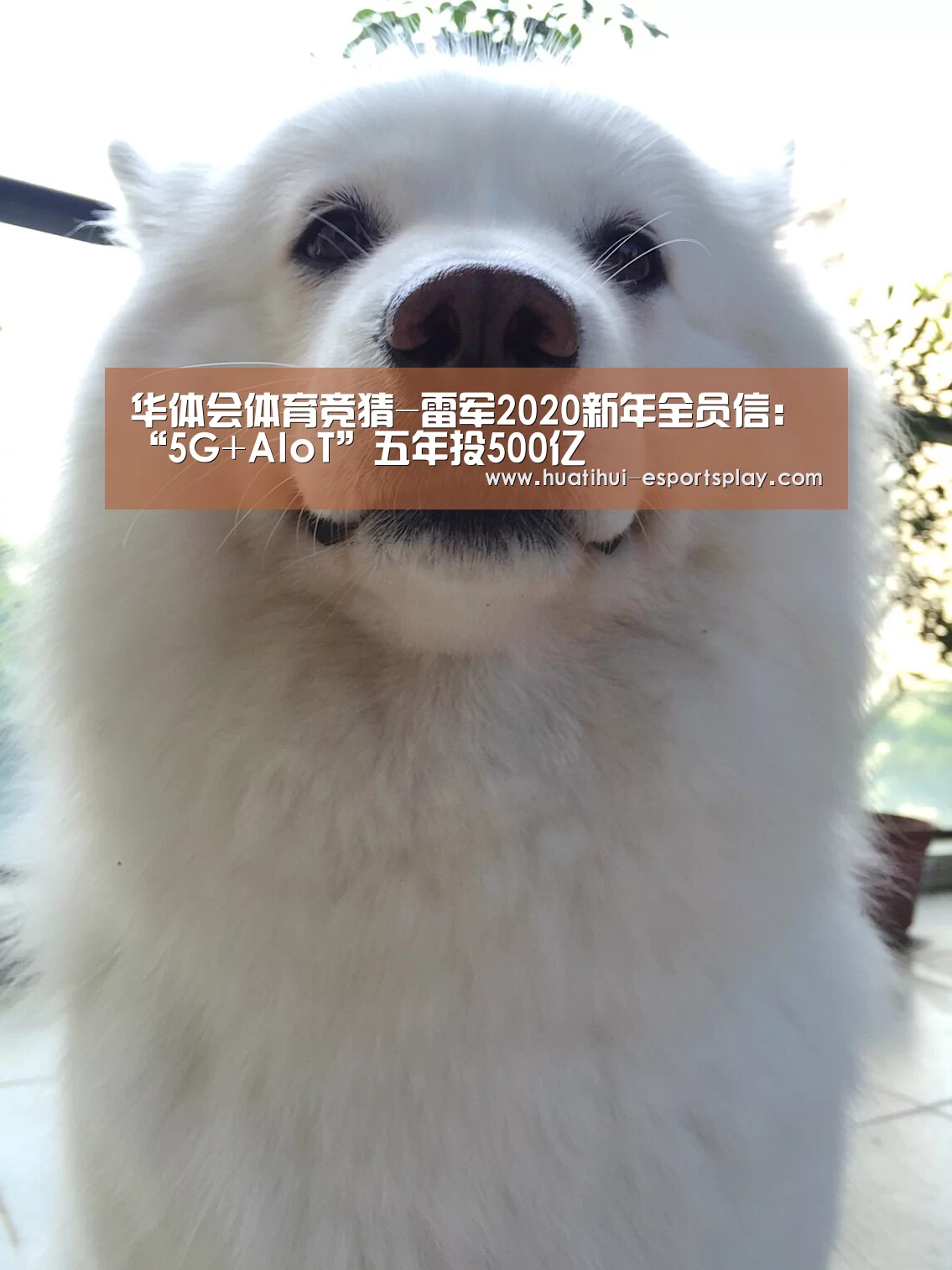 华体会体育竞猜